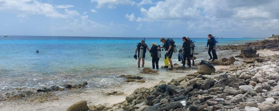 Eagle Ray Divers
